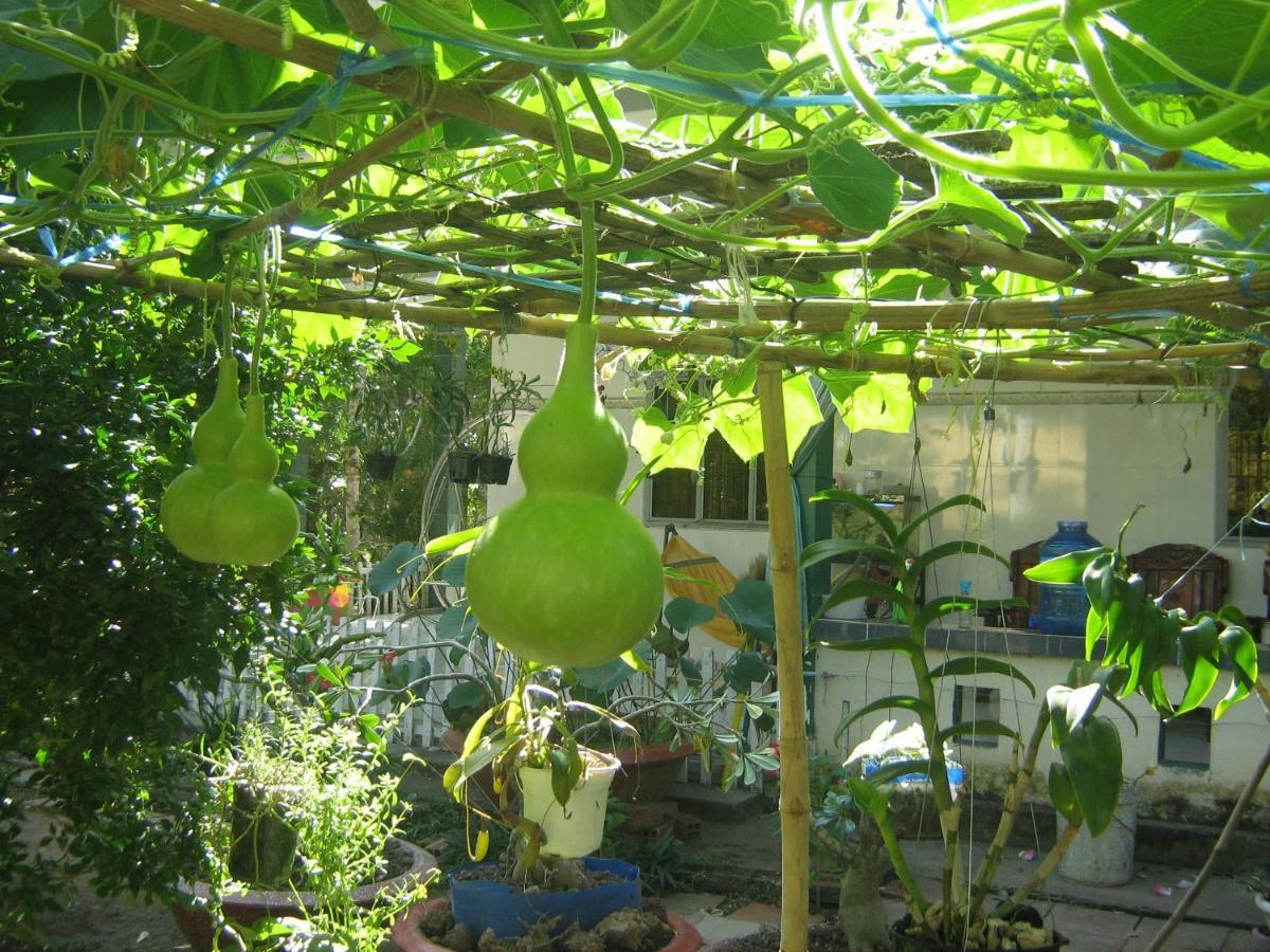 Vila Coco Happy Farm Ben Tre Exteriér fotografie