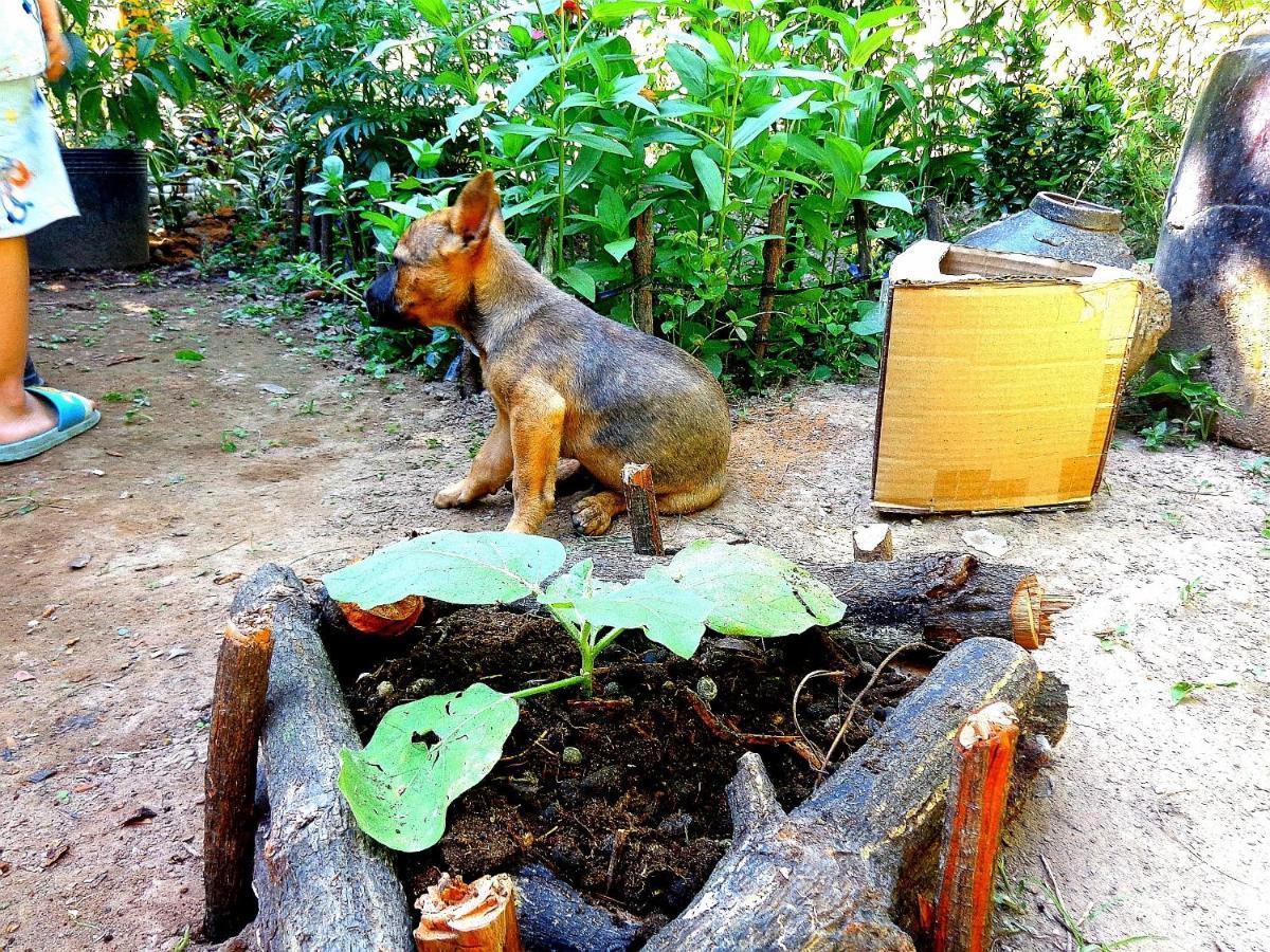 Vila Coco Happy Farm Ben Tre Exteriér fotografie