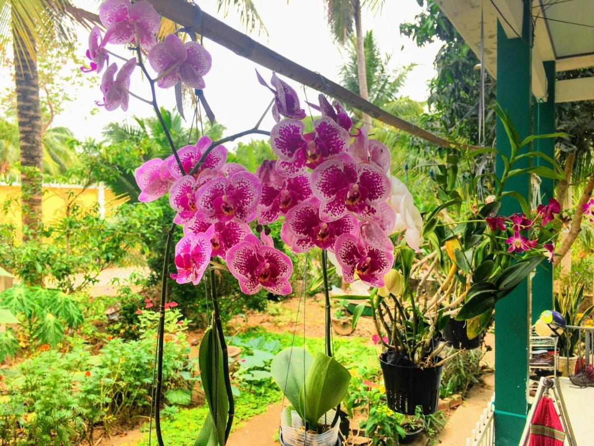 Vila Coco Happy Farm Ben Tre Exteriér fotografie