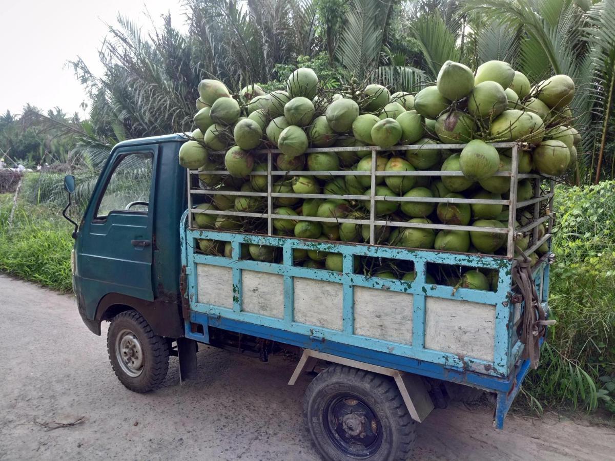 Vila Coco Happy Farm Ben Tre Exteriér fotografie
