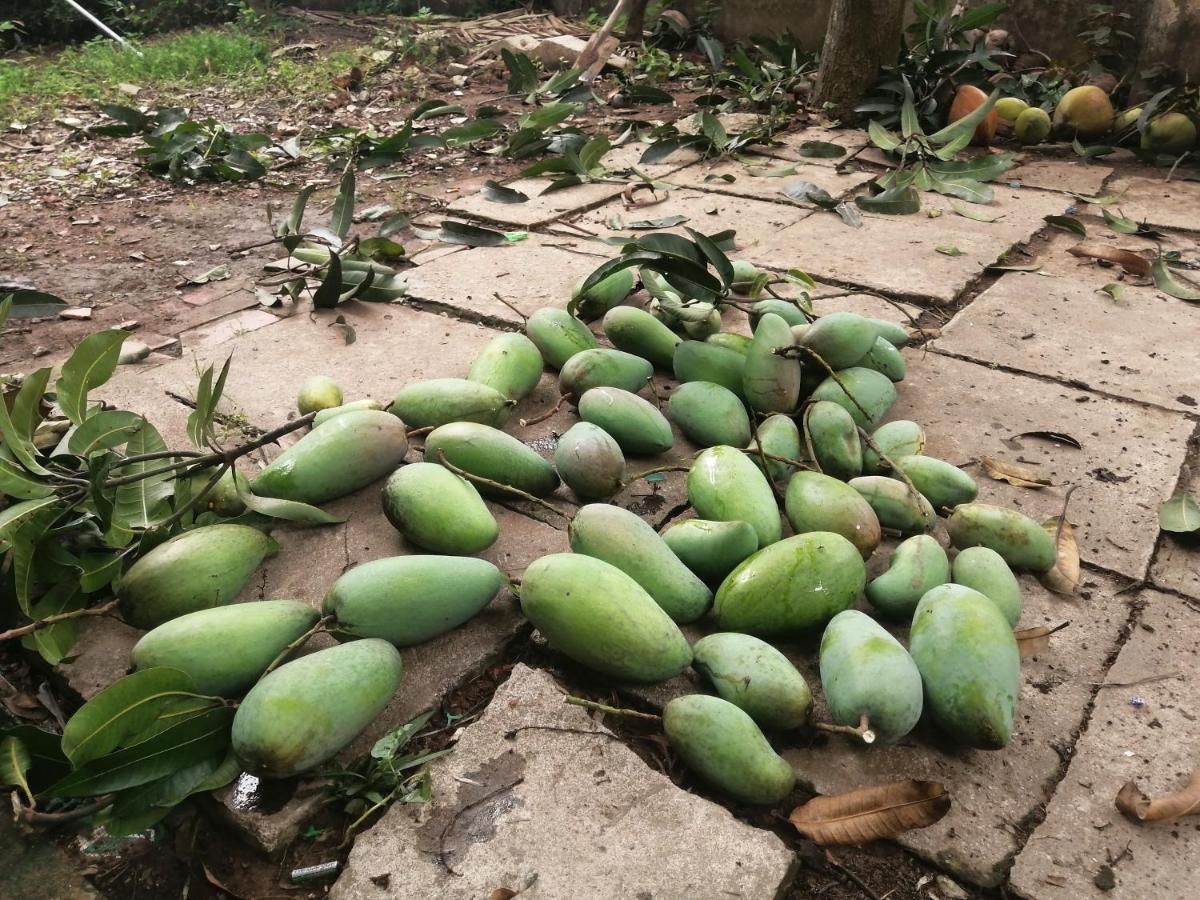 Vila Coco Happy Farm Ben Tre Exteriér fotografie