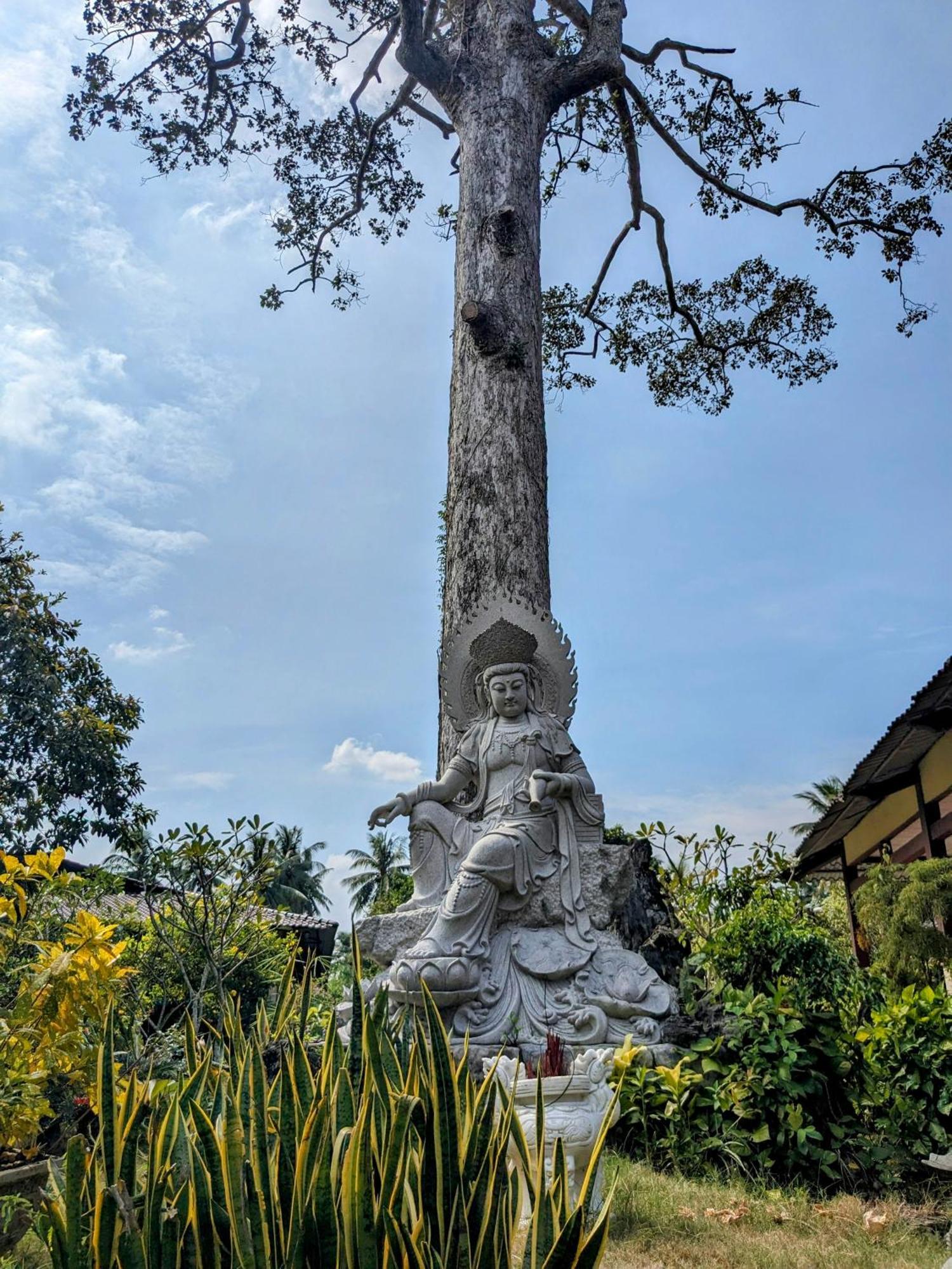 Vila Coco Happy Farm Ben Tre Exteriér fotografie