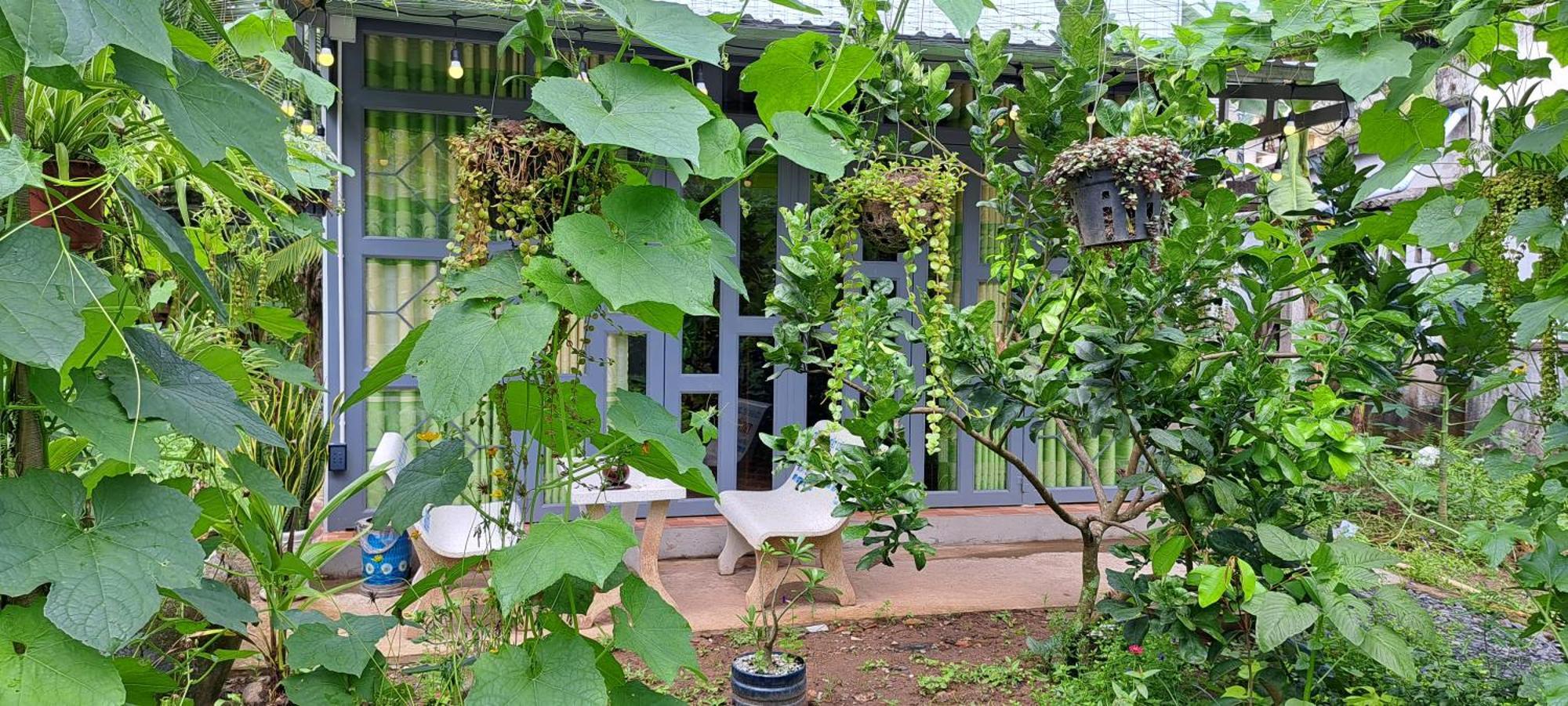 Vila Coco Happy Farm Ben Tre Exteriér fotografie